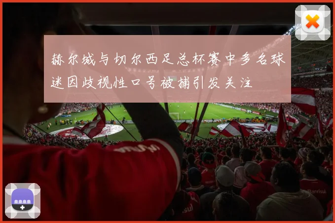 赫尔城与切尔西足总杯赛中多名球迷因歧视性口号被捕引发关注