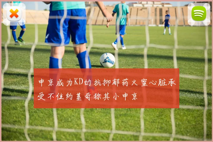 申京成为KD的抗抑郁药火蜜心脏承受不住约基奇称其小申京