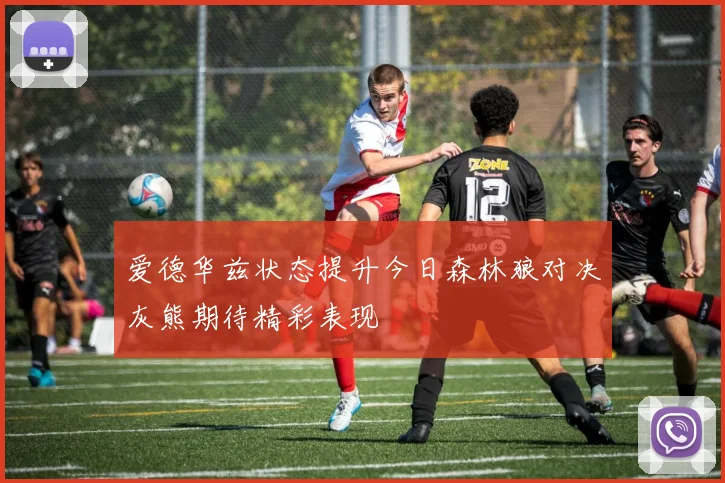 爱德华兹状态提升今日森林狼对决灰熊期待精彩表现