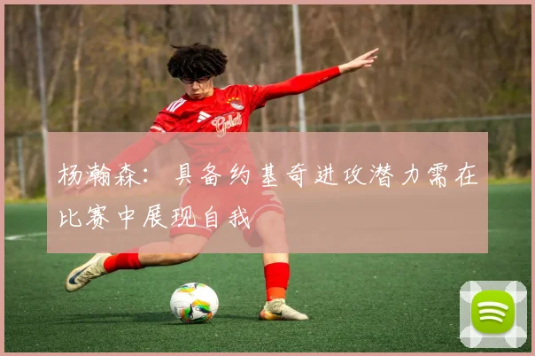 杨瀚森：具备约基奇进攻潜力需在比赛中展现自我